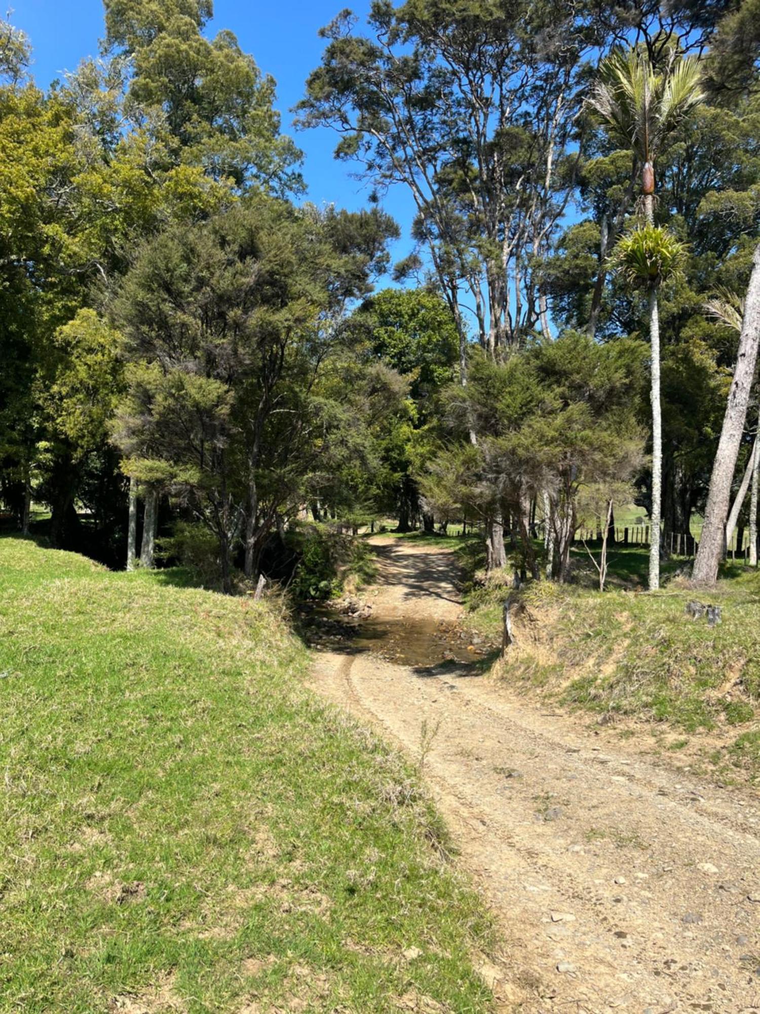White Star Station Farm Holiday Park Coromandel Exterior photo