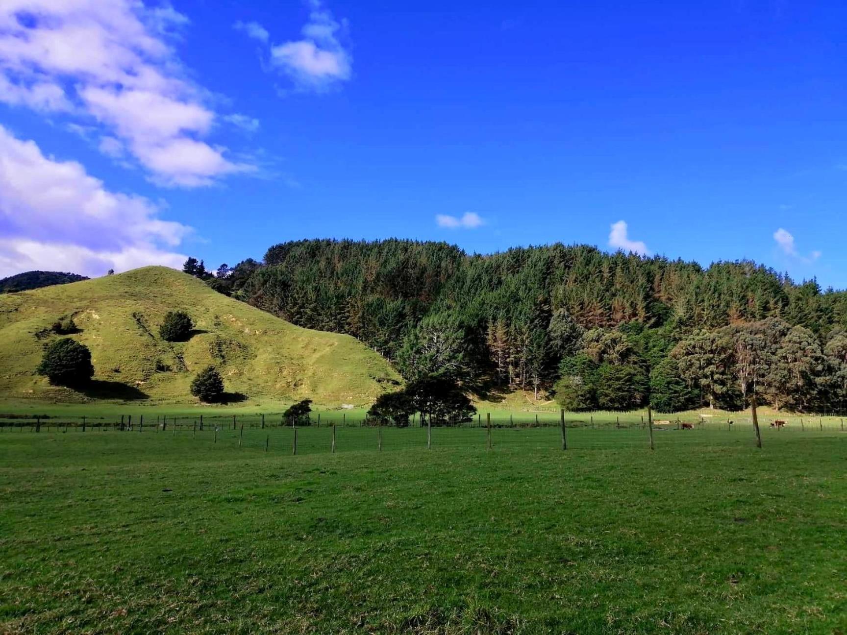 White Star Station Farm Holiday Park Coromandel Exterior photo